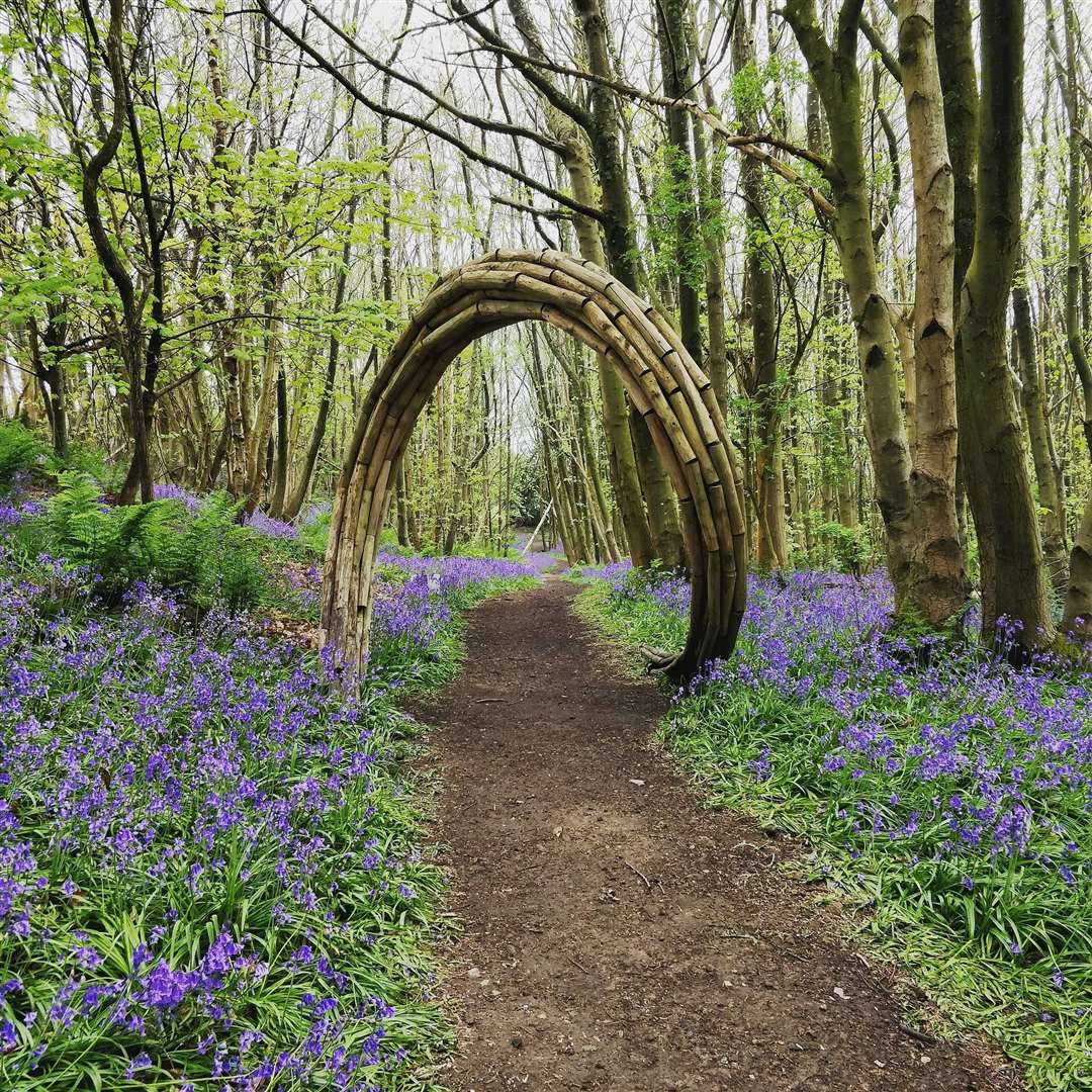 Riverhill Himalayan, Sevenoaks, Picture: National Garden Scheme