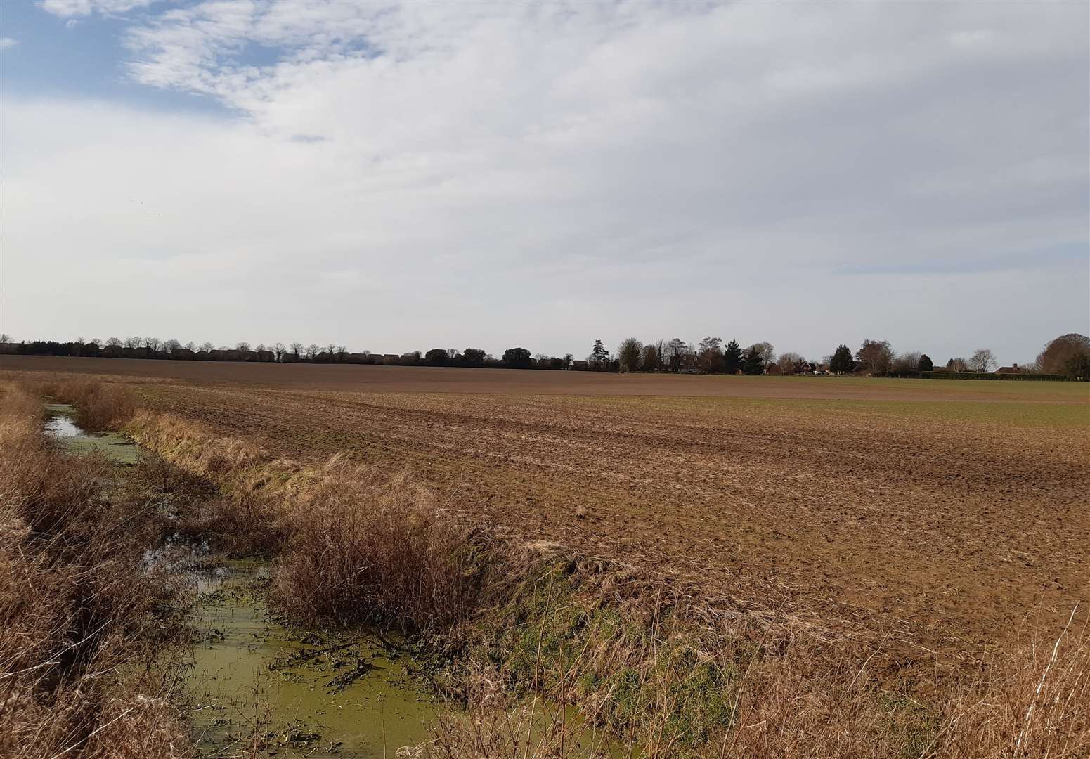 Part of the 81.5-acre site off Willesborough Road