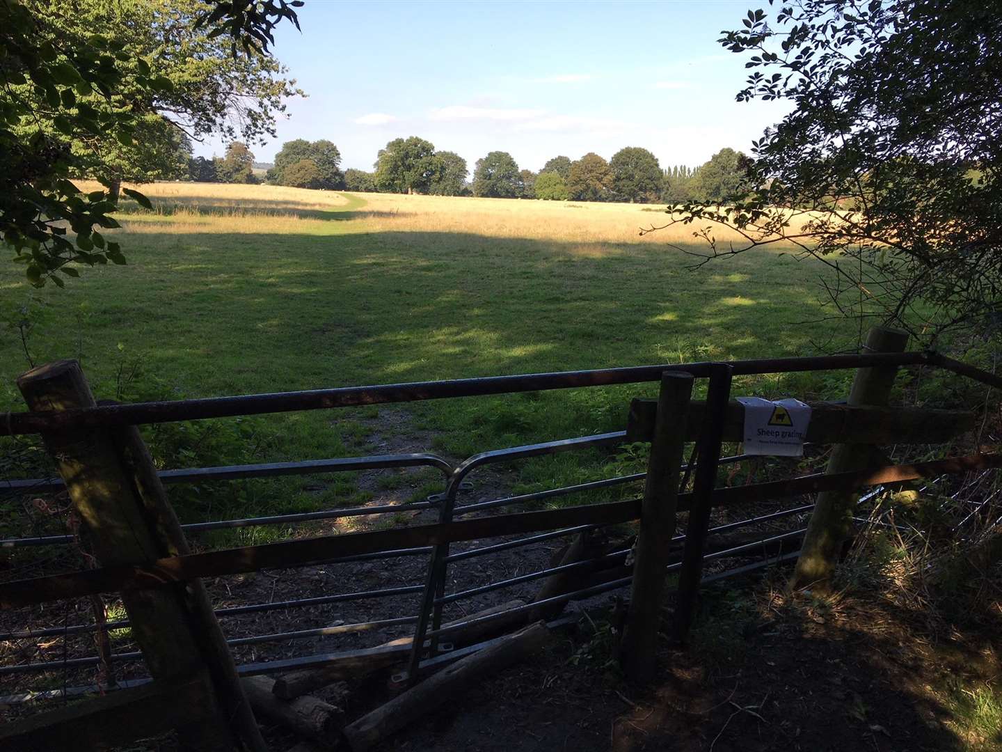 The entrance to the field shows a well-worn footpath