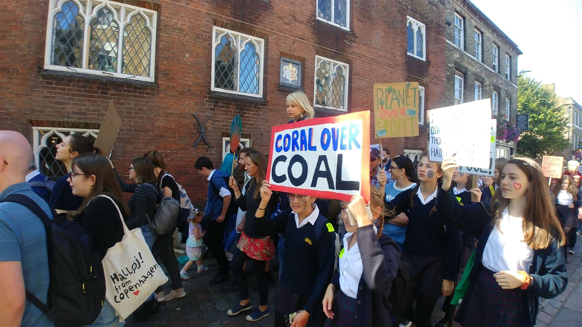 Young activists take to the streets of Canterbury as part of the Global Climate Strike protests. (17056556)