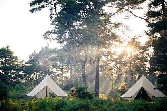 Camp Wilderness at Penshurst Place