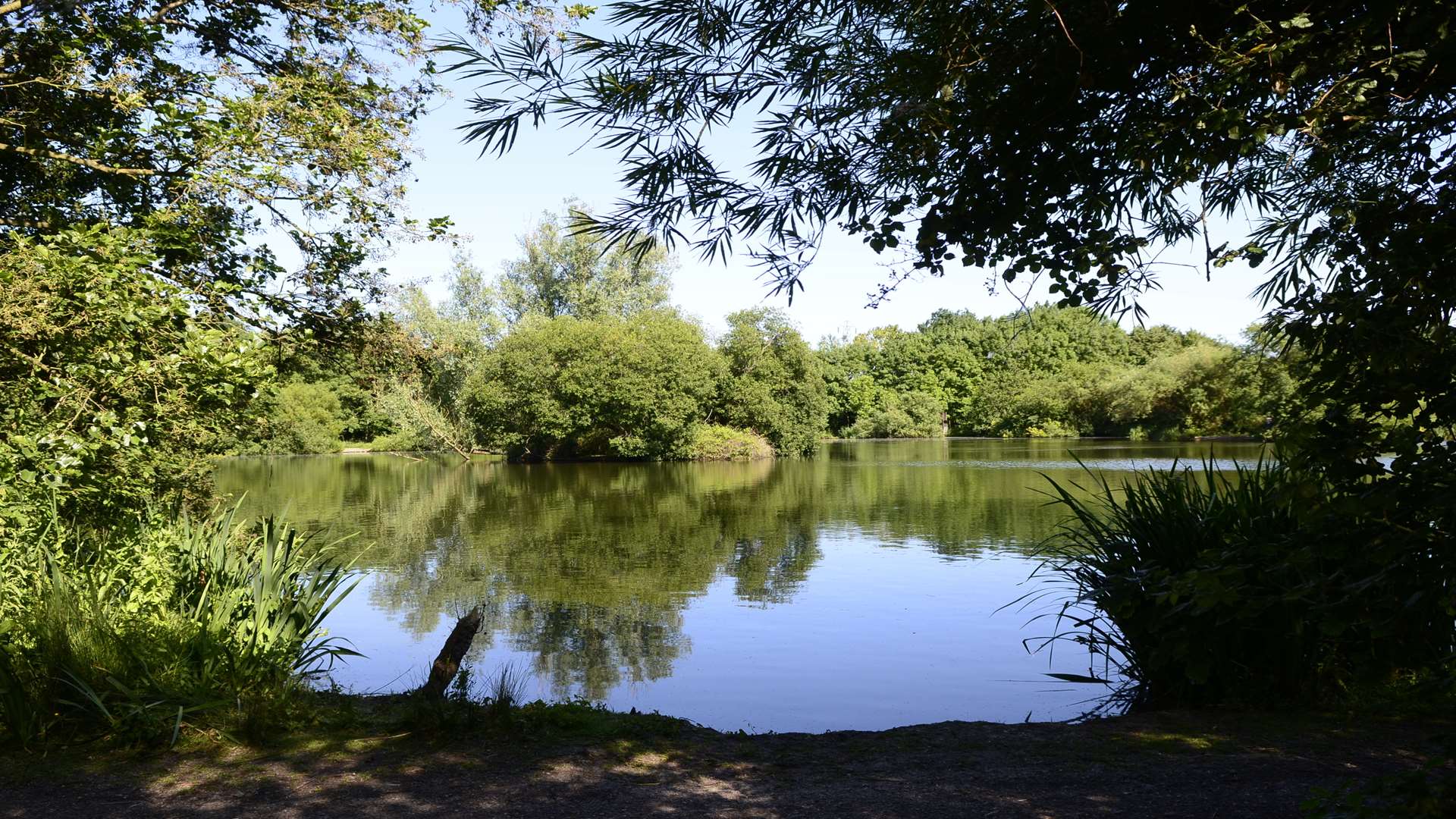 Singleton Lake in Ashford. Picture Gary Browne