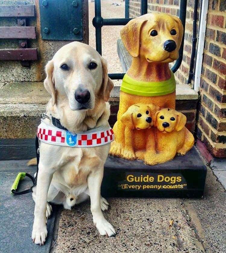 Zebedee was forced to retire after bites to the face left him too scared to wear a harness