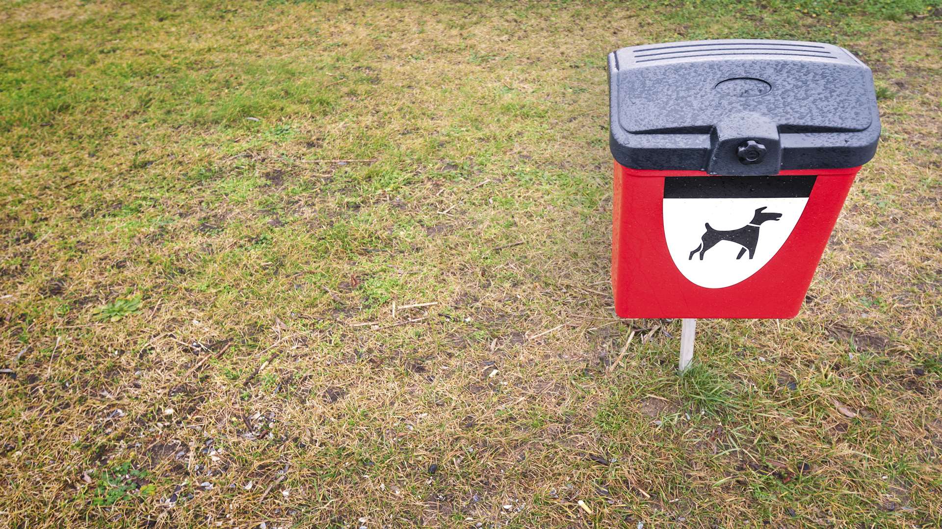 A plastic rubbish bin for dog waste