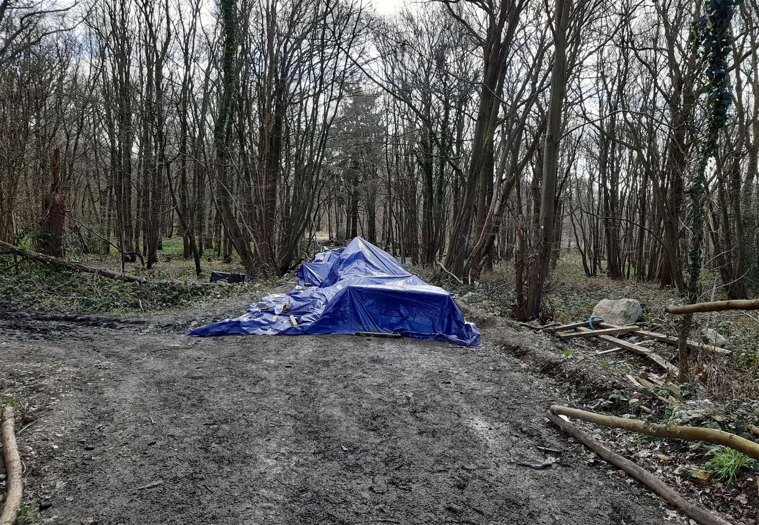 Sarah Everard's body was found in Hoads Wood off Fridd Lane