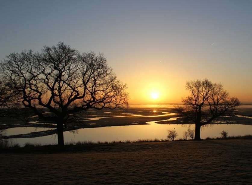 Elmley Marsh