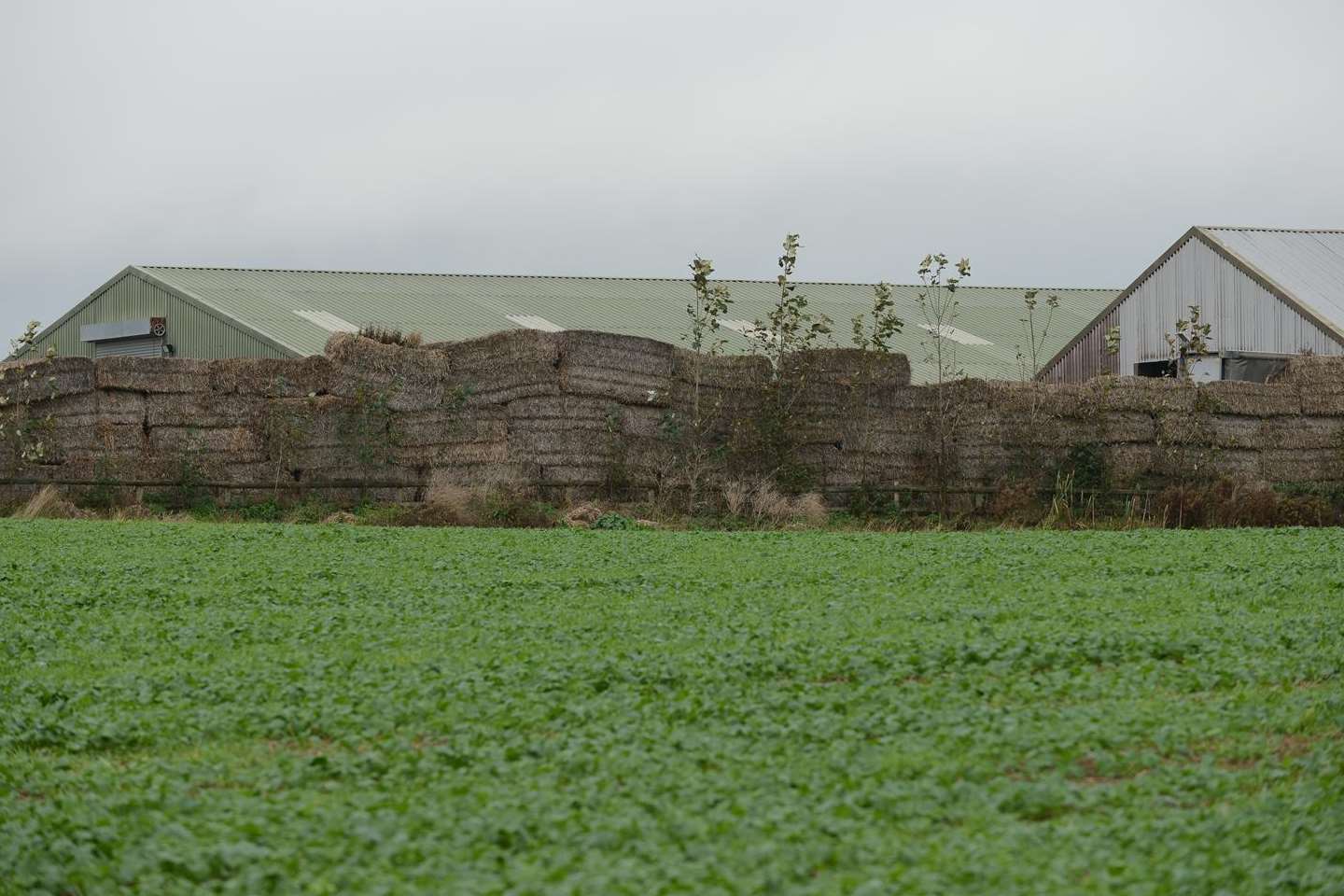 The inspector ruled that the view of the lorries spoiled the countryside