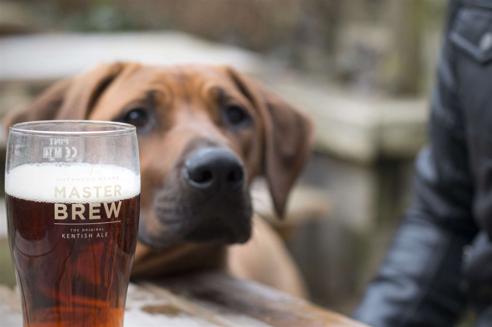 The Woolpack, Chilham