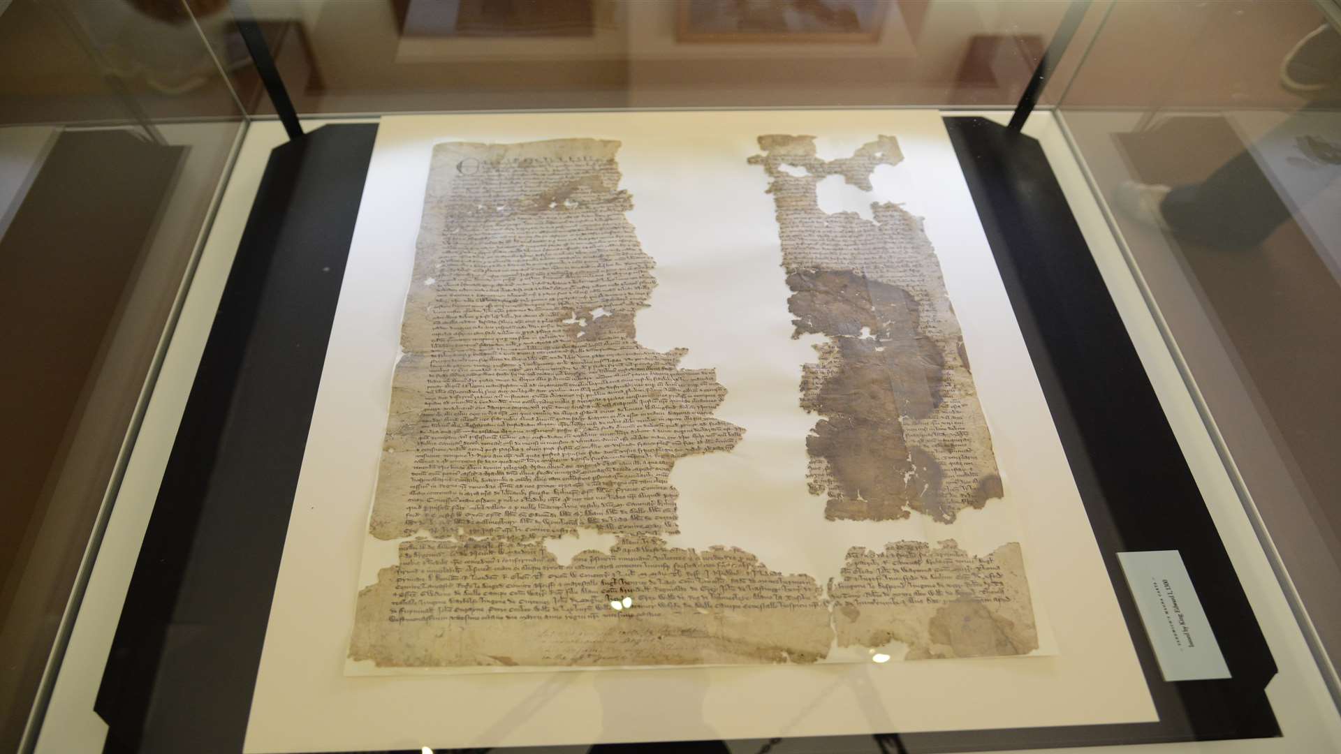 The Magna Carta