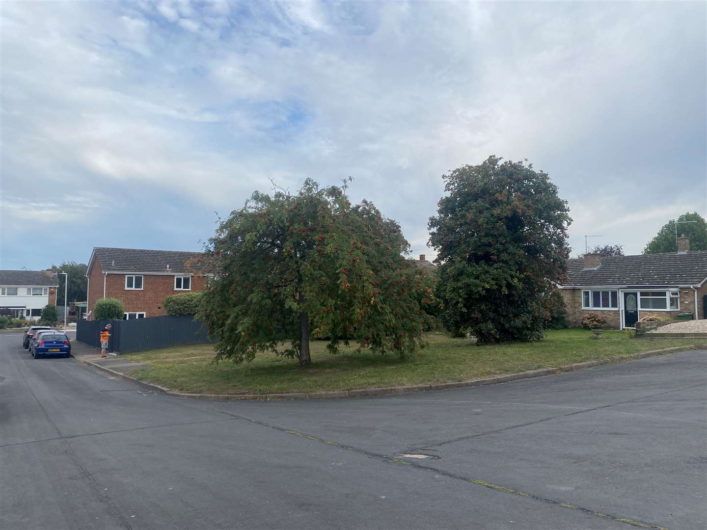 The mature trees in Johnson Court are believed to have been planted 40 years ago