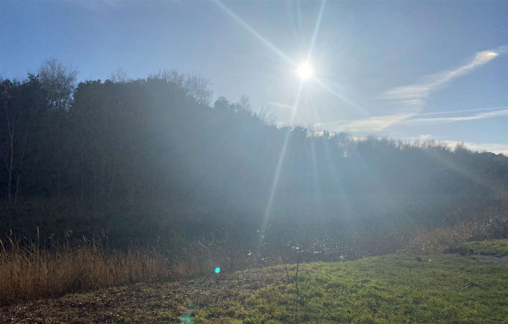 There is a move to turn Betteshanger Country Park into a nature reserve