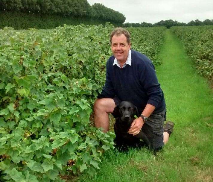 John Hinchliff from New House Farm in Canterbury is harvesting the new crop. Picture: New House Farm