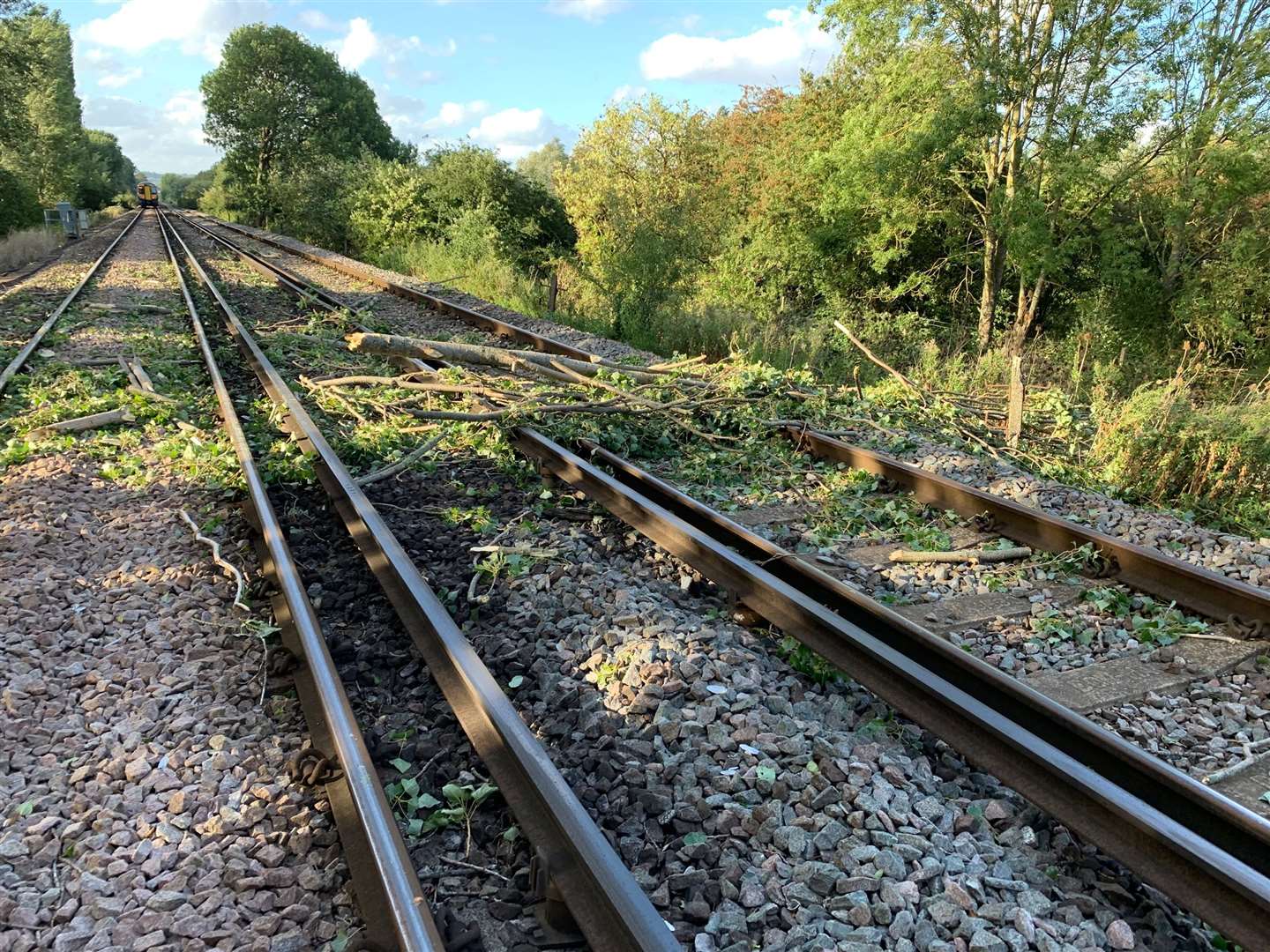 The passengers had to be rescued from the train after it struck the tree