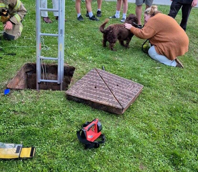 Firefighters rescued a dog from a drain in Faversham after he got stuck. Picture: KFRS