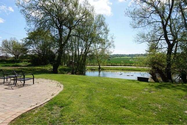 The seating area overlooking the pond. Picture: Zoopla / Purple Bricks