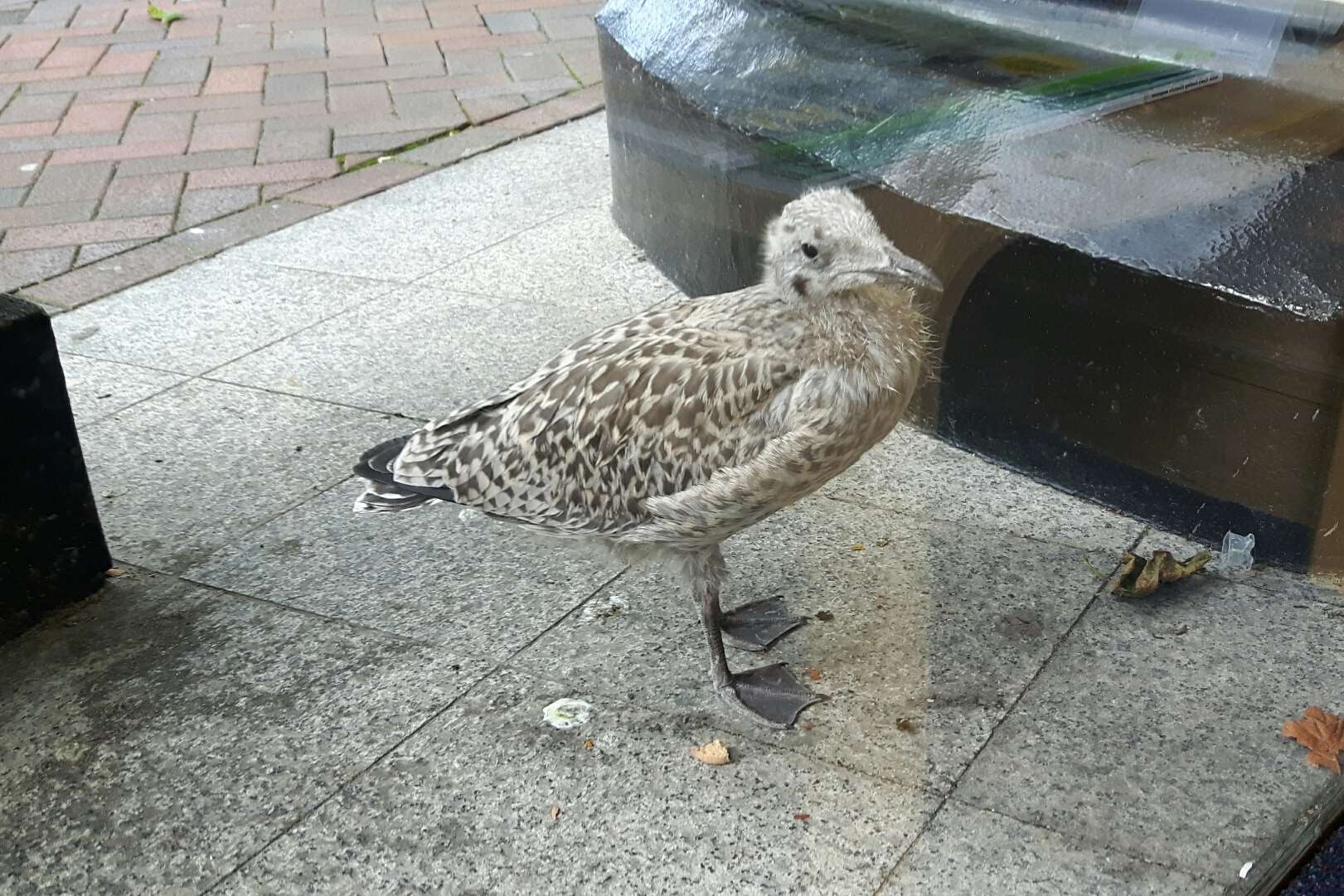 Outside the solicitors in Bank Street