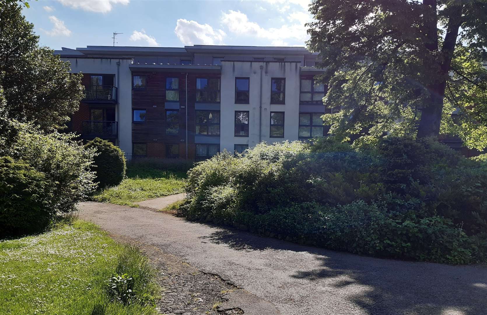 Flats at McKenzie Court back onto Brenchley Gardens Picture: KMC