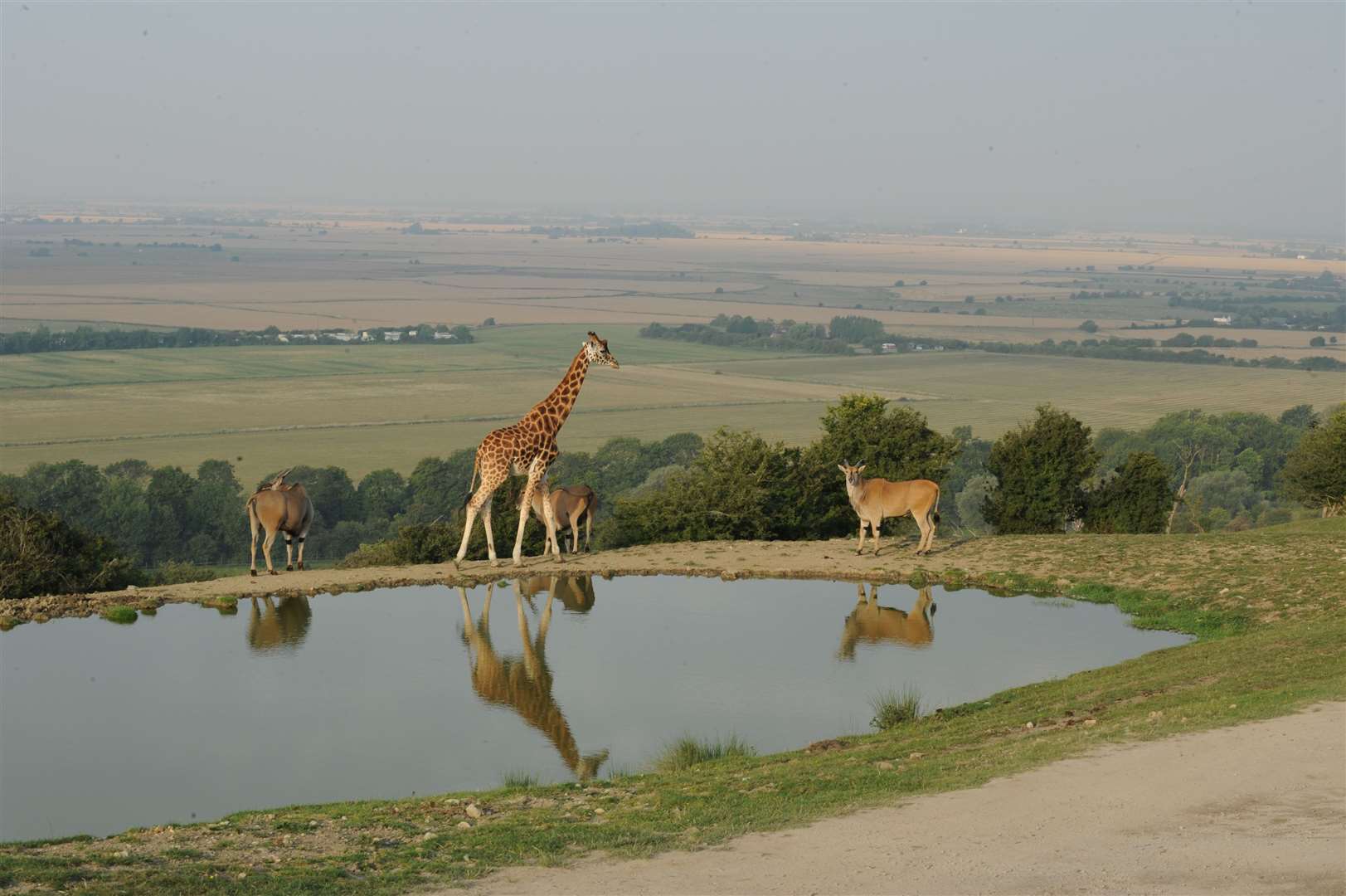 There was a fire at Port Lympne (pictured) yesterday, and no injuries were reported. Credit: The Aspinall Foundation