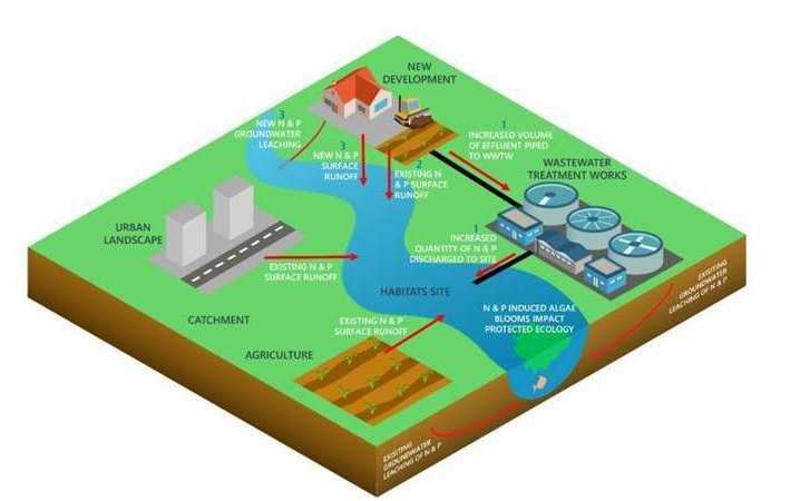 How pollution is getting into the Stodmarsh Nature Reserve