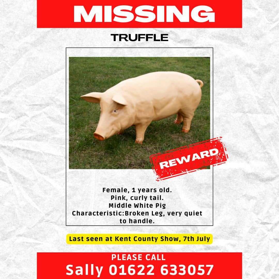 The Kent County Show is appealing for Truffle the plastic pig to be safely returned to the showground in Detling. Picture: The Kent County Show