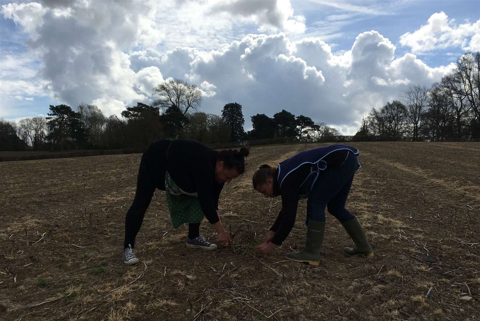 Heather and Pauline Driver get picking