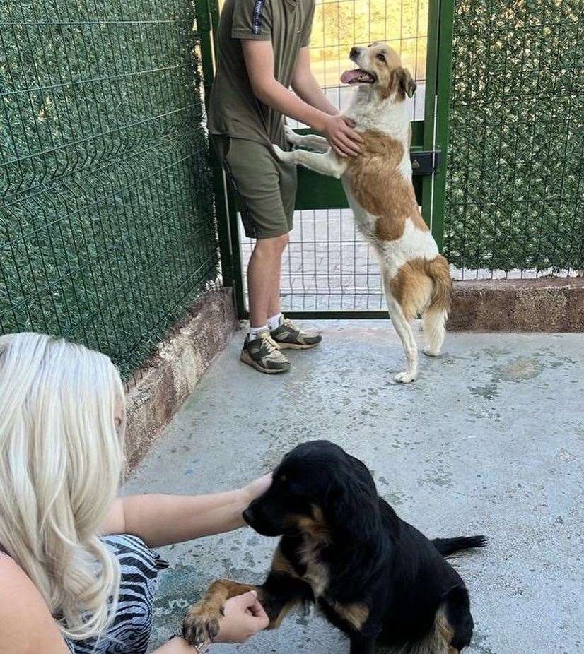 The family saying goodbye to the two dogs before they headed home. Picture: @jadecarter9721