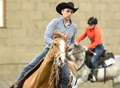 Town's Wild West horse showdown