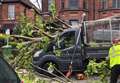 Tree crushes van in high winds