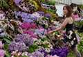 Get tickets to next year’s fabulous RHS flower shows