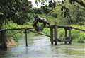 Gorillas released into the wild by Kent charity