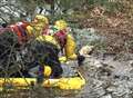 Soggy sheep is saved from drowning 