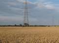 Pylons would 'wreck the skyline'