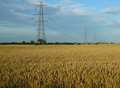 Pylon plans to cut a swathe across county