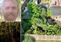 ‘I turned my unassuming Kent garden into a stunning mini-rainforest’