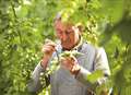 A world first virtual visit to a Kentish hop garden