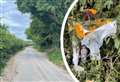 Flowers left for biker killed in embankment crash