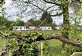 Travellers return to country park