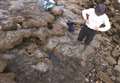 Footprints of last dinosaurs to walk the UK found in Kent