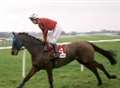 Wilson's four-pronged Grand National assault