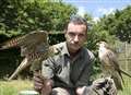 Falcons Dick and Dom pursue world speed record