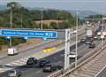 Swan stops motorway traffic