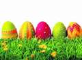 Happy Easter to all our reader