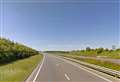 Heavy traffic as sheep flood road