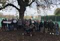 Victory for campaigners as historic tree saved from chop