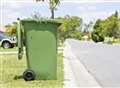 BBQ fire destroys bins and fence