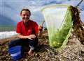 West Bay is top for beachcomb