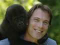 Baby gorillas head for Africa