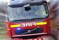 Cat dies following kitchen fire