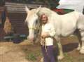 Firefighters haul shire horse from ditch