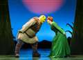 Shrek The Musical hits the county